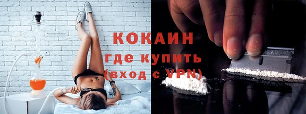 ГАЛЛЮЦИНОГЕННЫЕ ГРИБЫ Коряжма