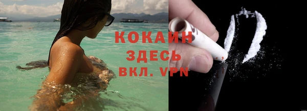 стаф Долгопрудный