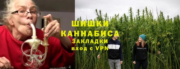 ГАЛЛЮЦИНОГЕННЫЕ ГРИБЫ Коряжма