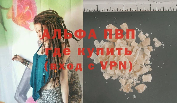 ГАЛЛЮЦИНОГЕННЫЕ ГРИБЫ Коряжма