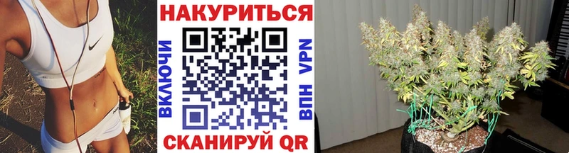 цены   Лермонтов  Шишки марихуана индика 